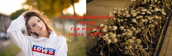 мет Бородино