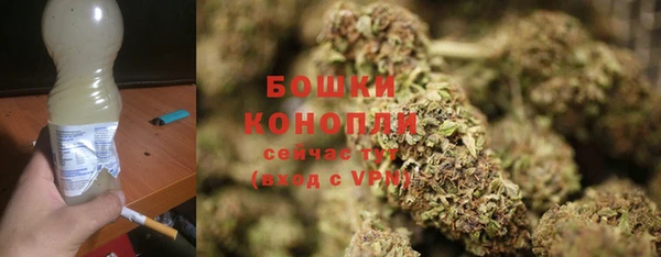 мет Бородино