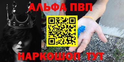 apvp Гатчина