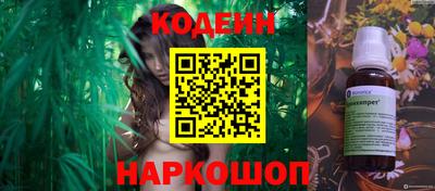 apvp Гатчина
