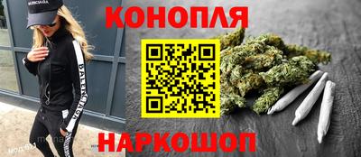 прущие крисы Гагарин
