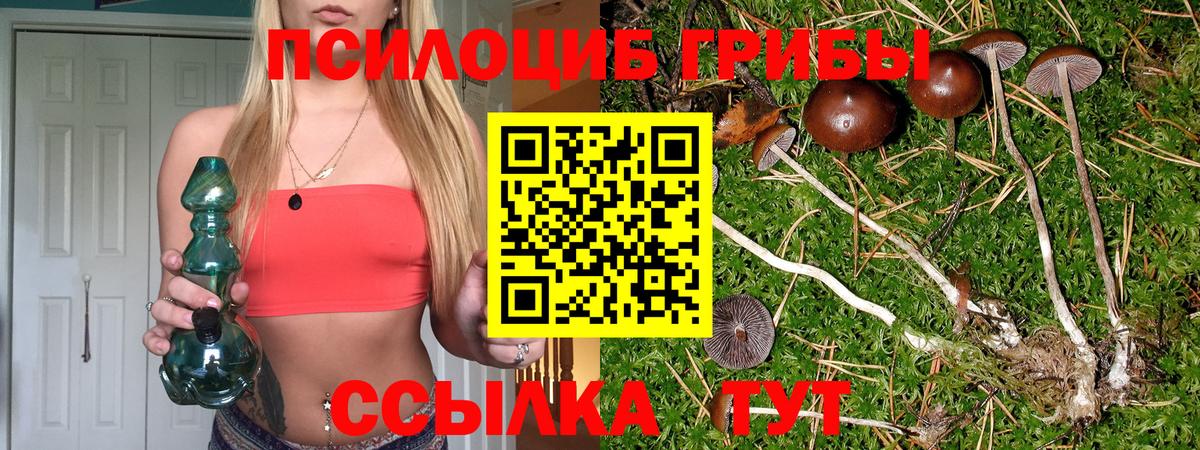 Галлюциногенные грибы GOLDEN TEACHER  Псилоцибиновые грибы мухоморы  Вход с VPN  Видное 