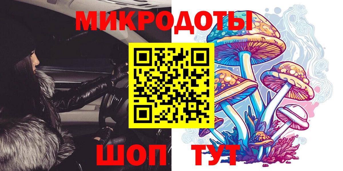 Псилоцибиновые грибы Psilocybine cubensis  Видное  Галлюциногенные грибы Magic Shrooms 