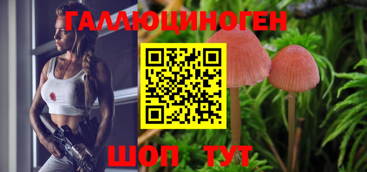 Псилоцибиновые грибы мицелий Видное